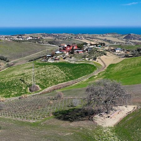 B&B Gli Amici Del Tubarello Roseto Degli Abruzzi Eksteriør billede