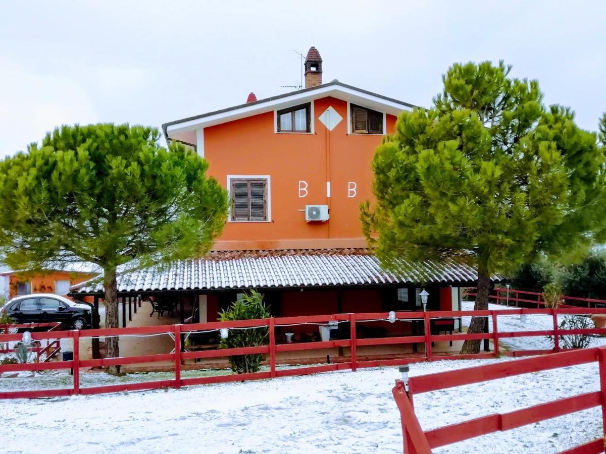 B&B Gli Amici Del Tubarello Roseto Degli Abruzzi Eksteriør billede