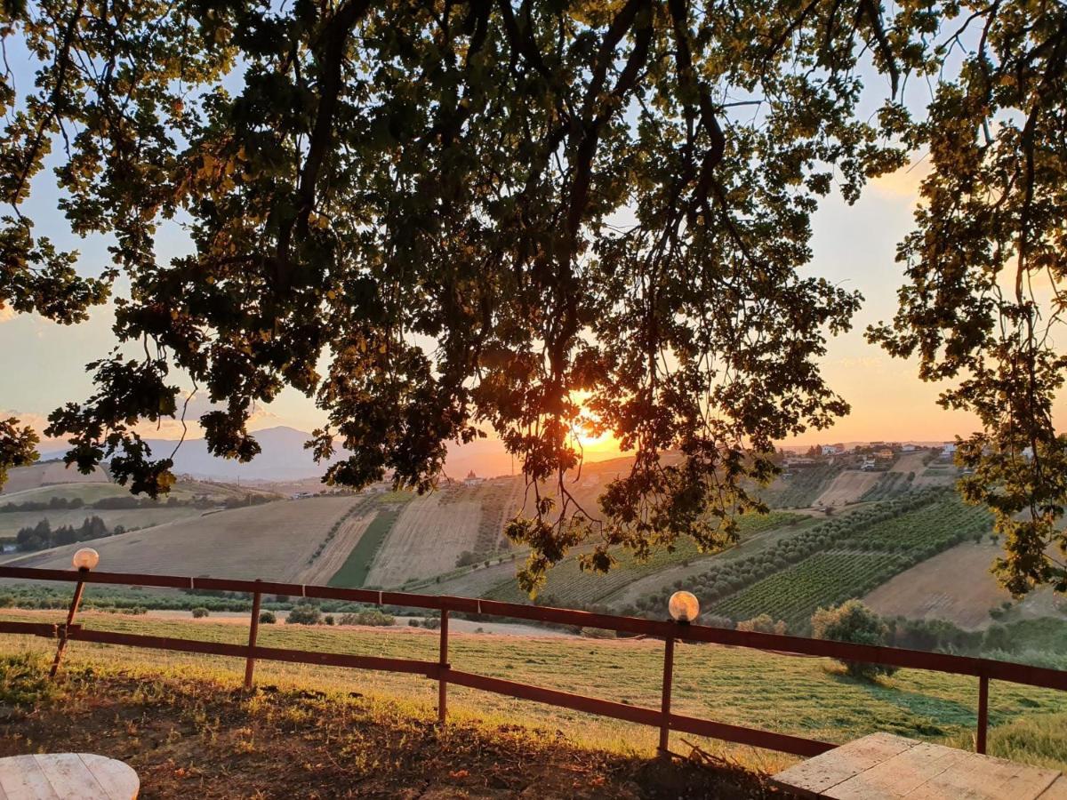 B&B Gli Amici Del Tubarello Roseto Degli Abruzzi Eksteriør billede