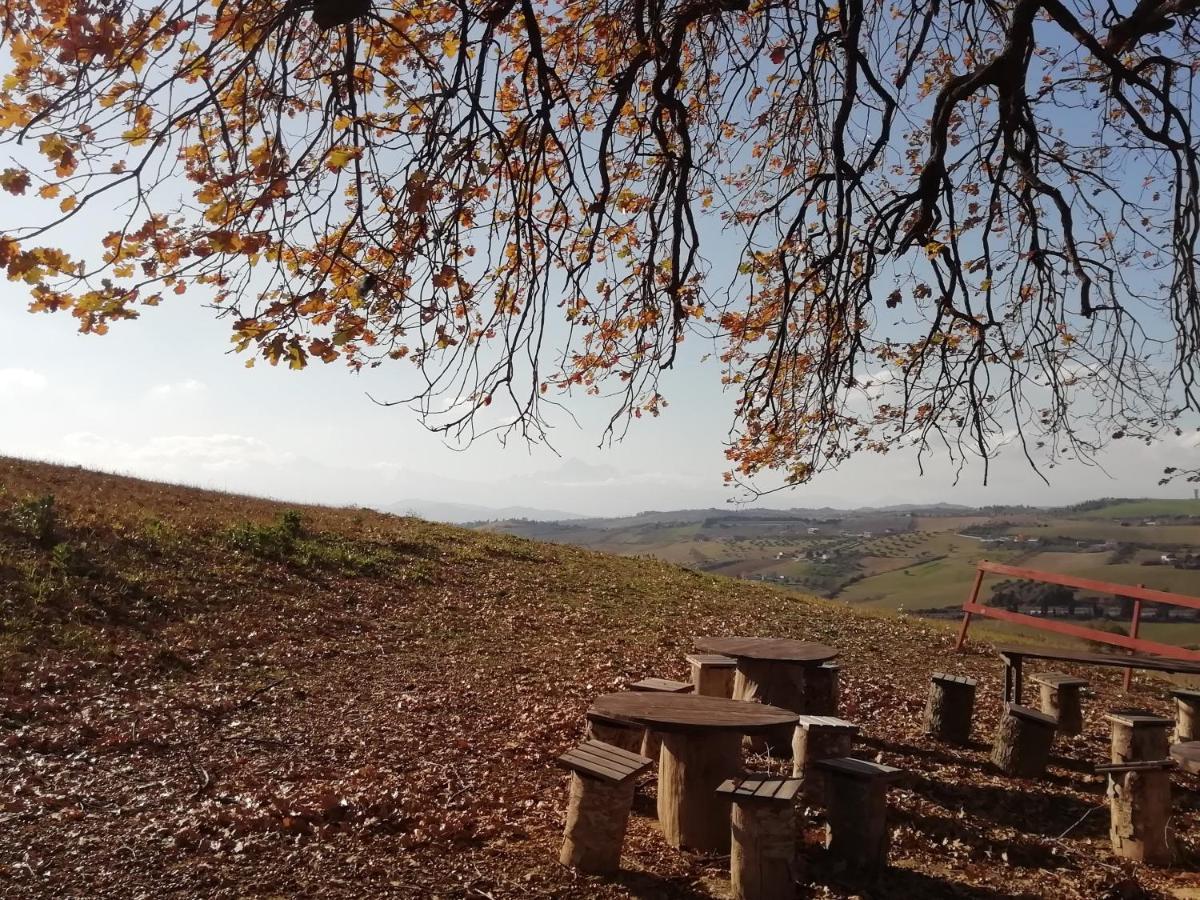B&B Gli Amici Del Tubarello Roseto Degli Abruzzi Eksteriør billede