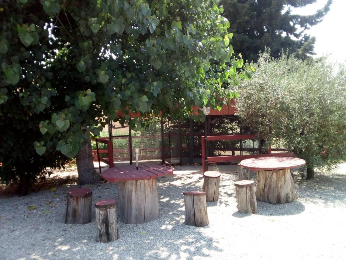 B&B Gli Amici Del Tubarello Roseto Degli Abruzzi Eksteriør billede