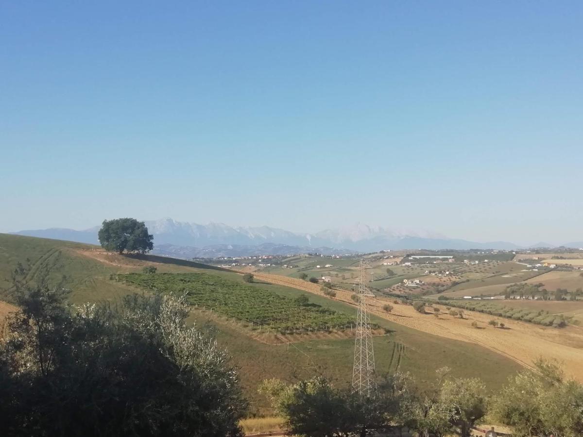 B&B Gli Amici Del Tubarello Roseto Degli Abruzzi Eksteriør billede