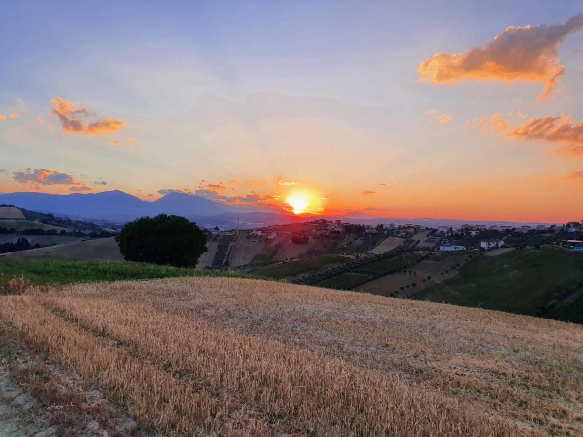 B&B Gli Amici Del Tubarello Roseto Degli Abruzzi Eksteriør billede
