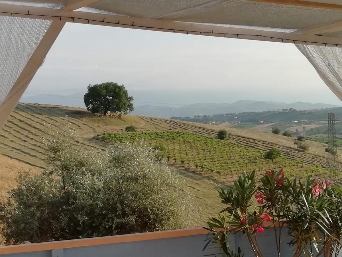 B&B Gli Amici Del Tubarello Roseto Degli Abruzzi Eksteriør billede
