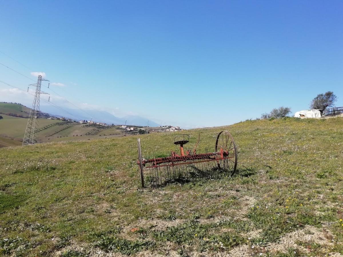 B&B Gli Amici Del Tubarello Roseto Degli Abruzzi Eksteriør billede