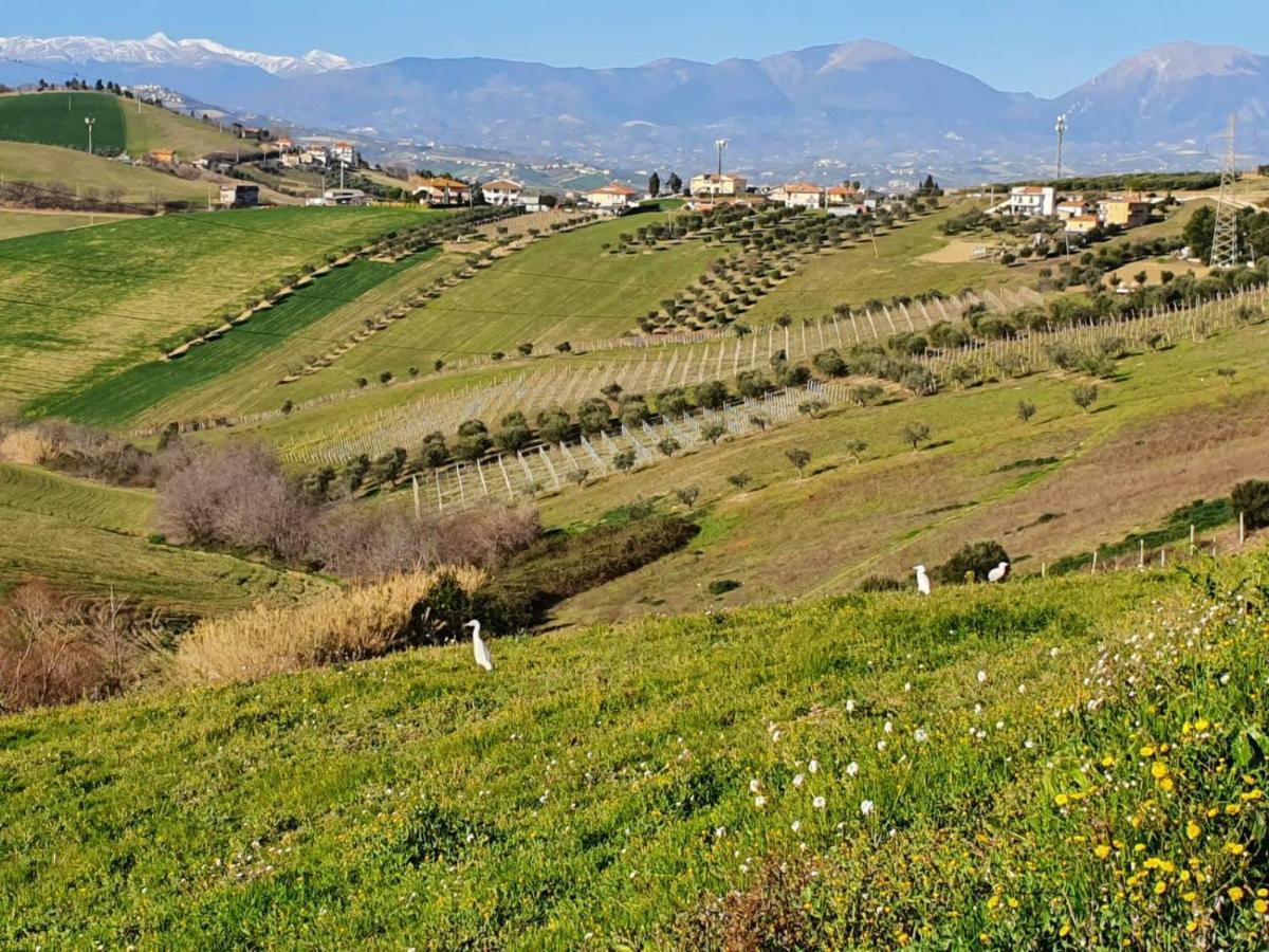 B&B Gli Amici Del Tubarello Roseto Degli Abruzzi Eksteriør billede