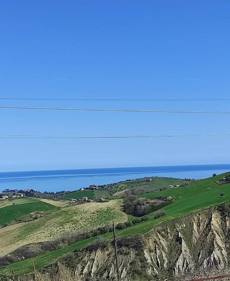 B&B Gli Amici Del Tubarello Roseto Degli Abruzzi Eksteriør billede