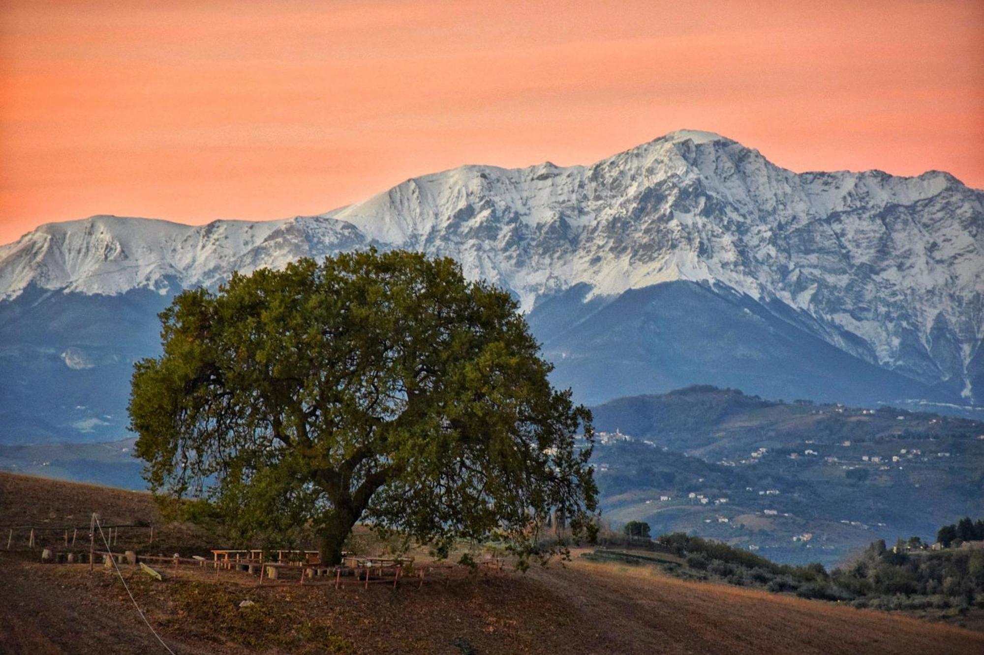 B&B Gli Amici Del Tubarello Roseto Degli Abruzzi Eksteriør billede